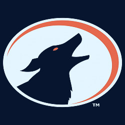 2022 Arizona Fall League: Glendale Desert Dogs — College Baseball, MLB  Draft, Prospects - Baseball America